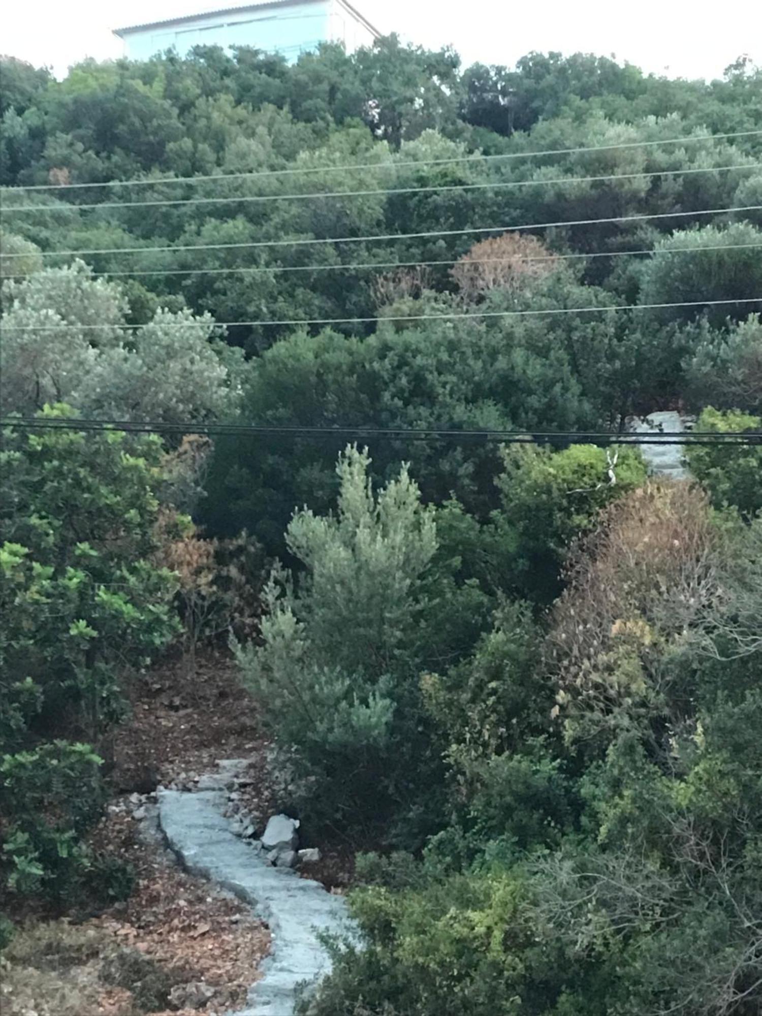 Green Hill Kas Διαμέρισμα Εξωτερικό φωτογραφία