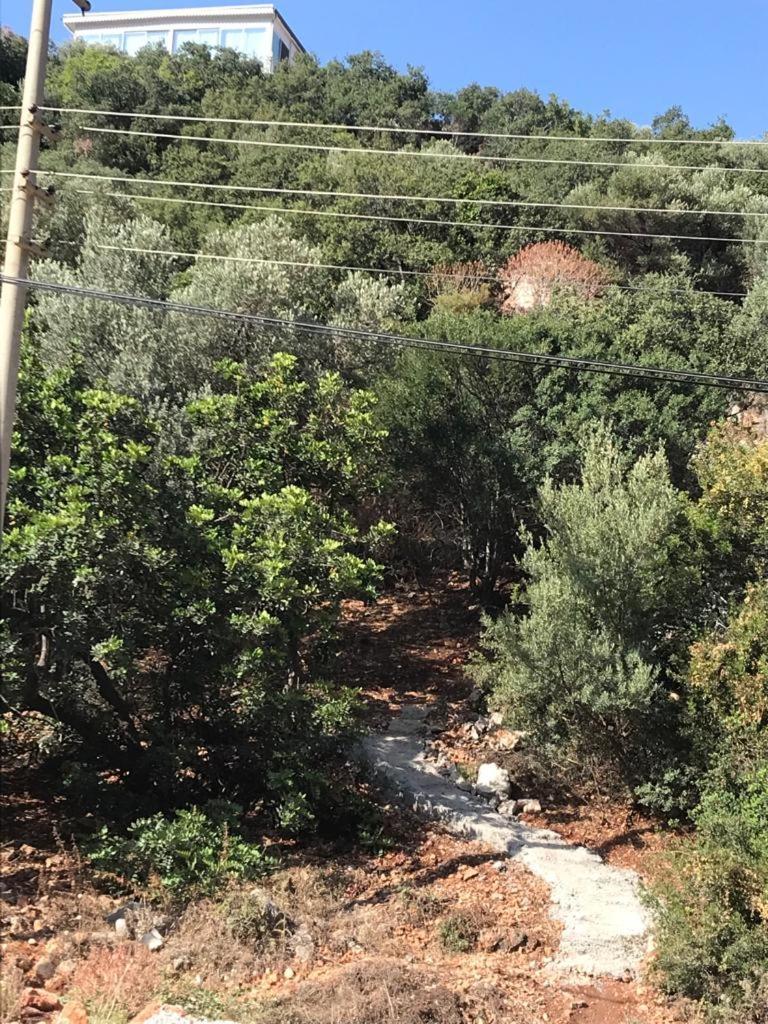 Green Hill Kas Διαμέρισμα Εξωτερικό φωτογραφία